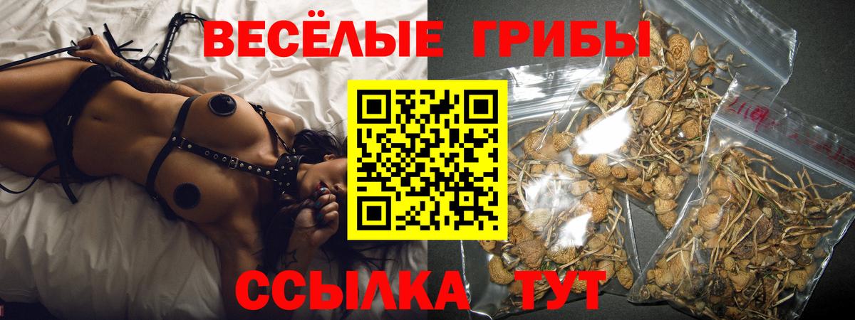 Галлюциногенные грибы прущие грибы Гулькевичи